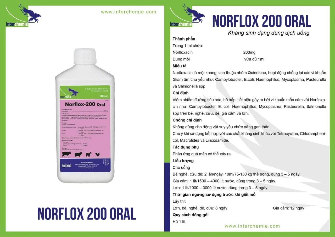 NORFLOX – 200 ORAL