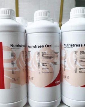 NUTRISTRESS