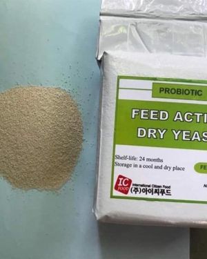 Feed active dry yeast