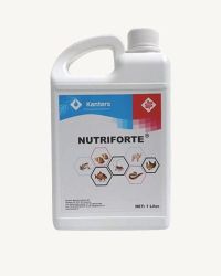 Nutriforte