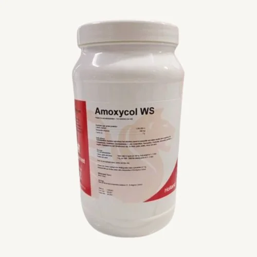 AMOXYCOL WS