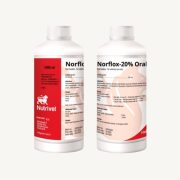 Norflox 20% Oral