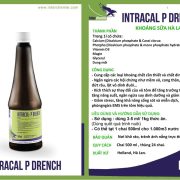 INTRACAL – P DRENCH