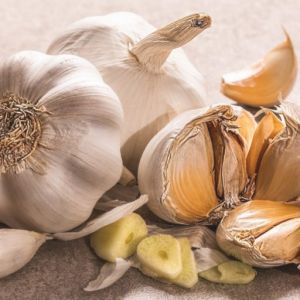 garlic-768x512_1571793942