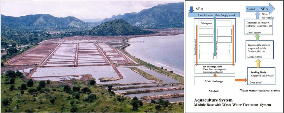 trang trại tôm cường độ cao Indonesia