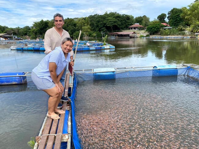 Hai người đứng bên ao tilapia đỏ