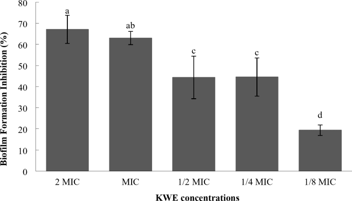 41598_2025_96013_Fig1_HTML.png