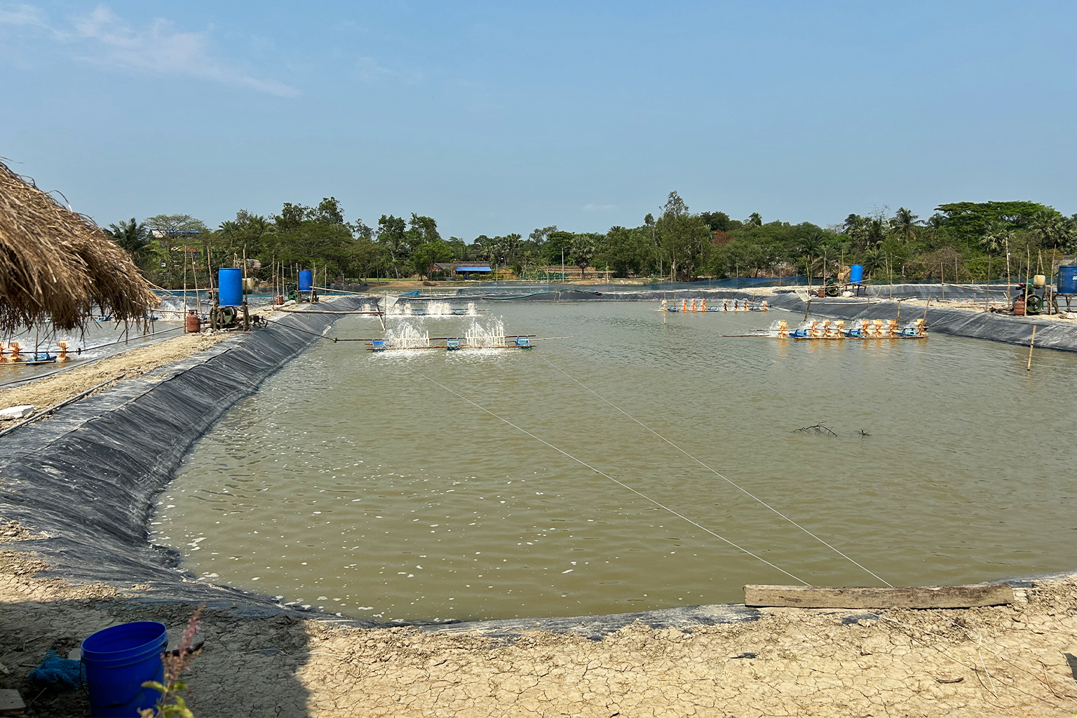 Một trong những khu vực nuôi tôm hiếm hoi ở Sundarbans nơi các phương pháp khoa học đang được áp dụng.
