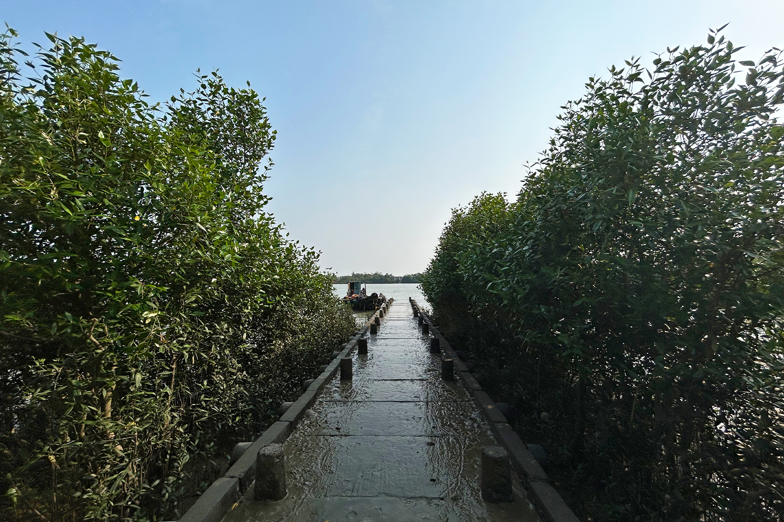 Khu vực Sundarbans của Ấn Độ đã trải qua một sự chuyển mình đáng kể từ nông nghiệp truyền thống sang nuôi tôm do thời tiết thất thường và nhu cầu toàn cầu ngày càng tăng đối với tôm.