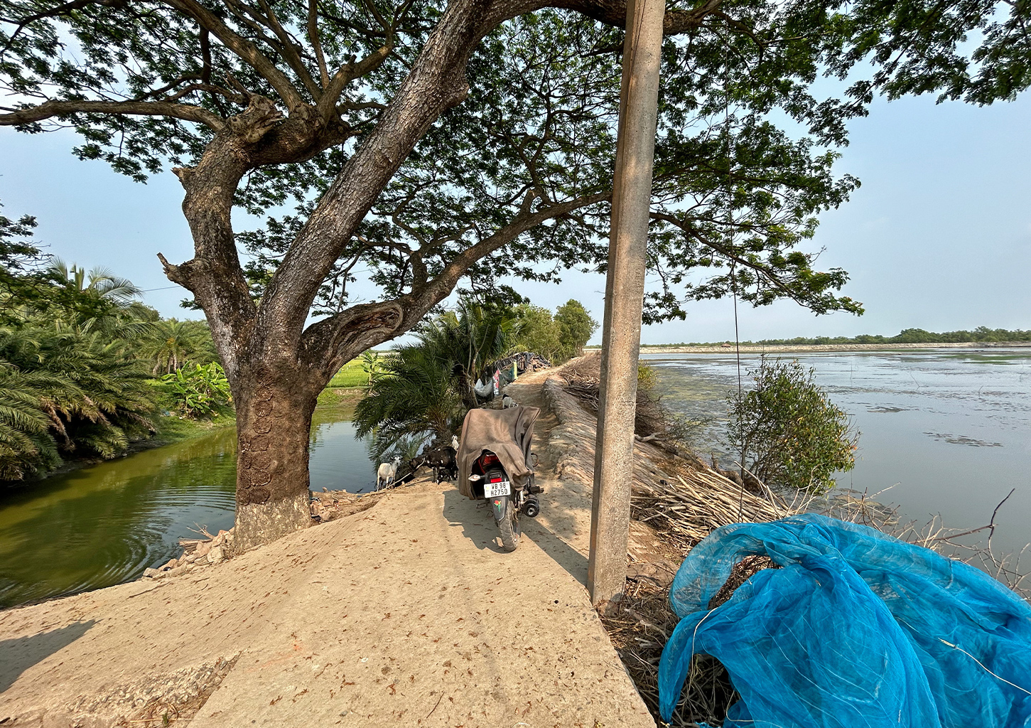 Một con đường hẹp tạm bợ ngăn cách nhà của Saidulla, Roshanara và hàng xóm của họ với ao nuôi tôm.