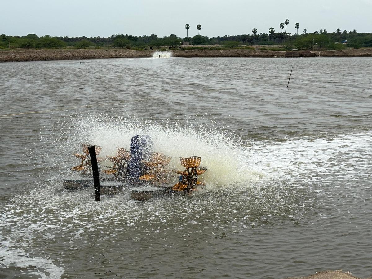 Một động cơ tiếp tục hoạt động tại trang trại tôm gần Kottaimedu, bất chấp việc vi phạm các quy định của Cơ quan Thủy sản ven biển ở huyện Sirkazhi, quận Mayiladuthurai