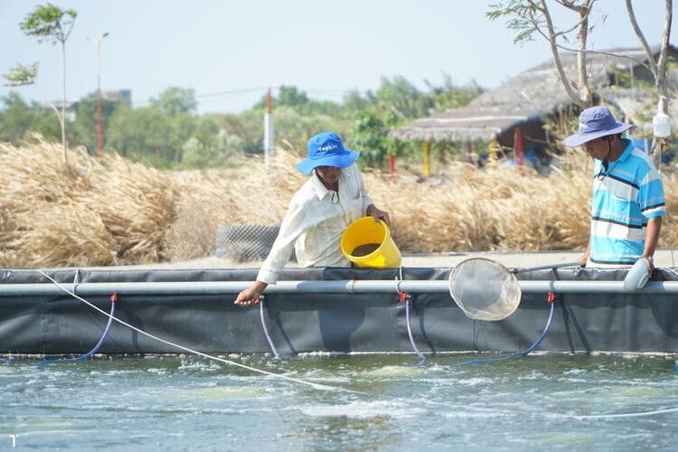 Nông dân kiểm tra nhãn thuốc thủy sản trước khi sử dụng