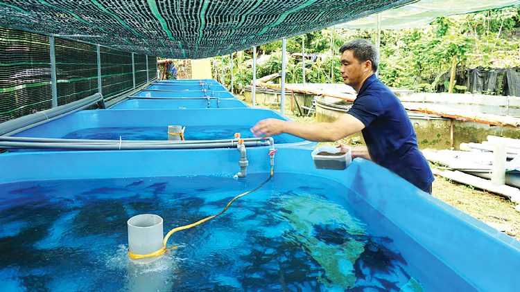 Tôm sạch kháng sinh nhờ dùng đúng sản phẩm chất lượng