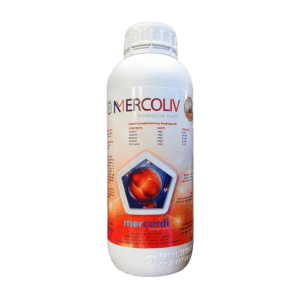 MERCOLIV