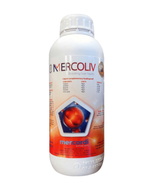 MERCOLIV