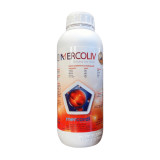 MERCOLIV