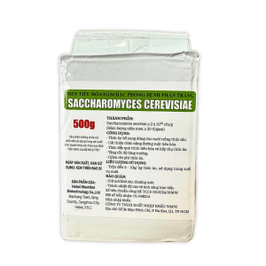 SACCHAROMYCES
