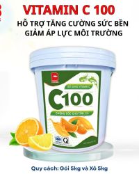 C100