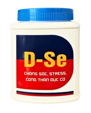 D- SE