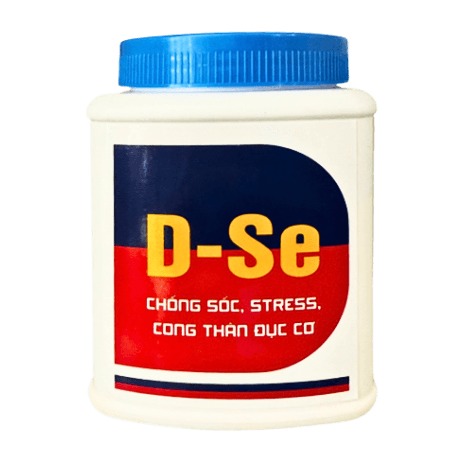 D- SE