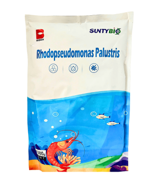 Rhodopseudomonas Palustris