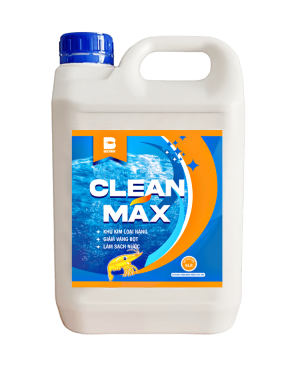 CLEAN MAX