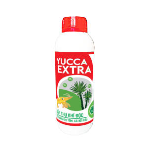 YUCCA EXTRA
