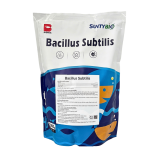 BACILLUS SUBTILIS