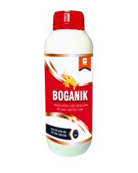 BOGANIK