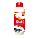 BOGANIK