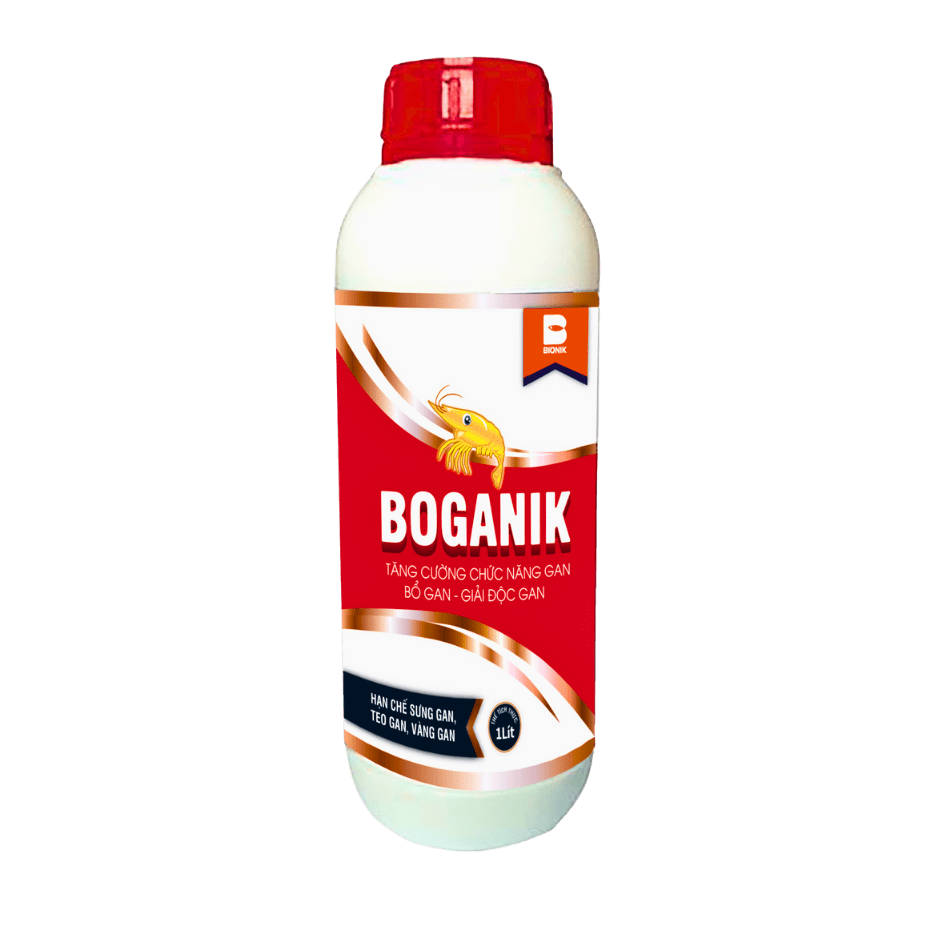 BOGANIK
