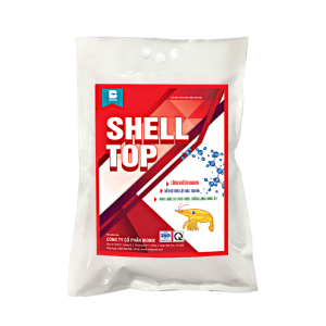 SHELL TOP