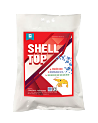 SHELL TOP