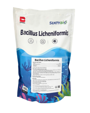 BACILLUS LICHENIFORMIS