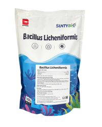 BACILLUS LICHENIFORMIS