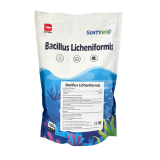BACILLUS LICHENIFORMIS