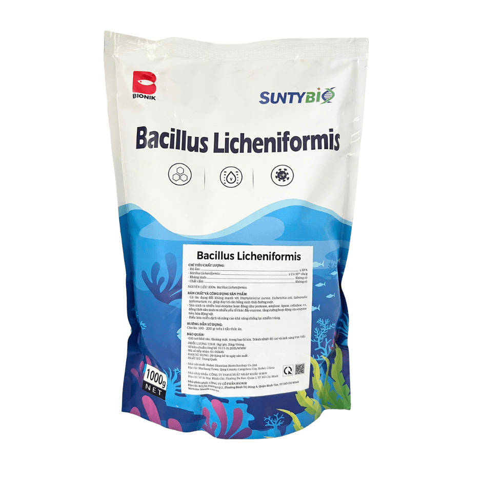 BACILLUS LICHENIFORMIS